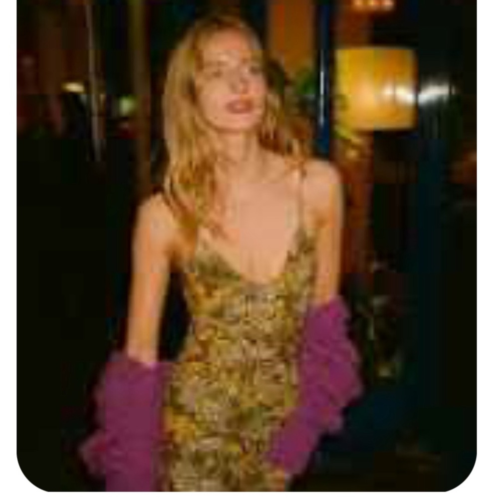 Rouje Slip Dress size 40 Paulina Slip Dress